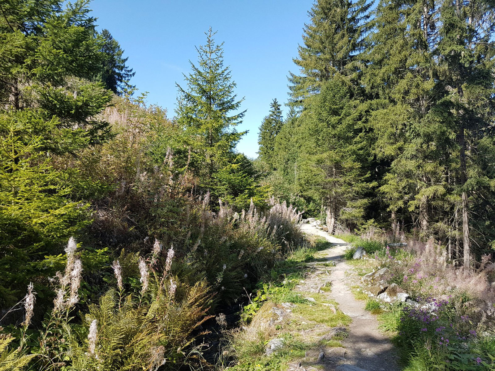 Nendaz